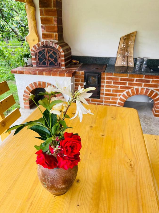 Casa De Vacanta Motata Novaci-Străini Exteriér fotografie